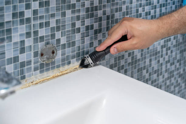Best Mold Removal Company Near Me  in Elsa, TX
